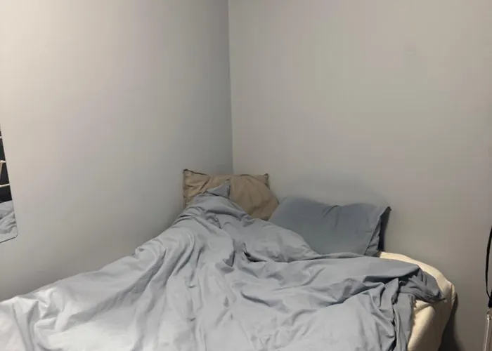 Fin For Vm * טרונדהיים